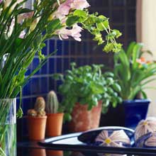 igazi beltéri dekoráció egy színes virág