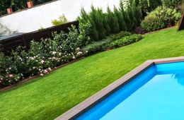 Könnyen fenntartható kert