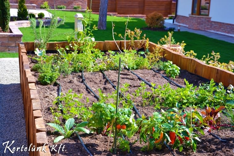 Konyhakertként funkcionáló magaságyás.