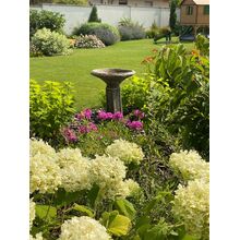 Virágos vidéki kert.