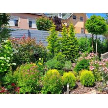 Kert gyepfelület nélkül.