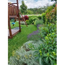 Kert buja ágyásokkal.