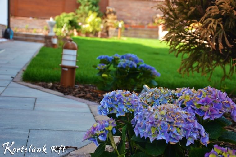 Egy sokszínű kert élénkséget áraszt.