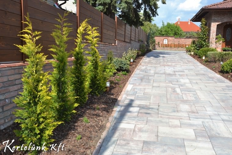 A kocsibejárót mediterrán növények szegélyezik.