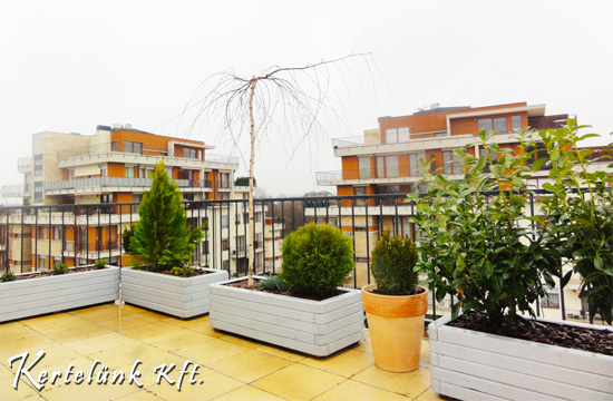 Kis kert kialakítása Zuglón