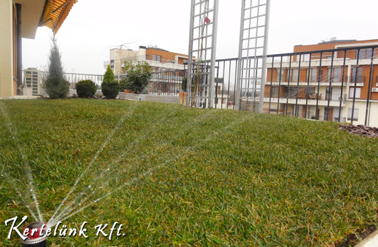 Még az öntözőrendszerre is találtunk megoldást