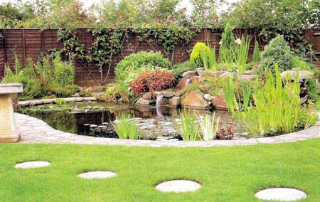 Illetve, egy natur, romantikus tó