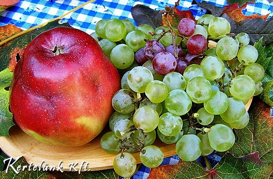 Igazi őszi szüreti hangulat